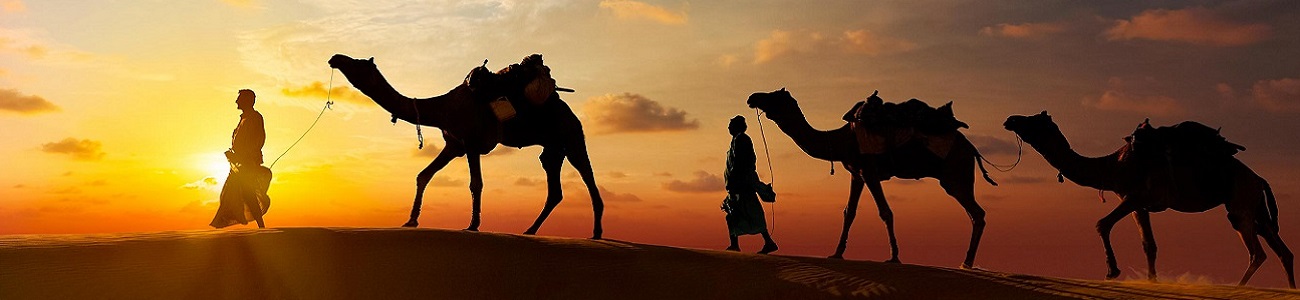 Rajasthan Holiday Packages | Select India Holidays