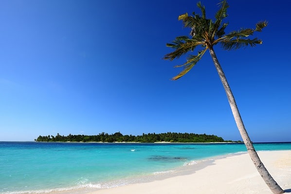 Taj Mahal Goa and Kerala Beach Tour