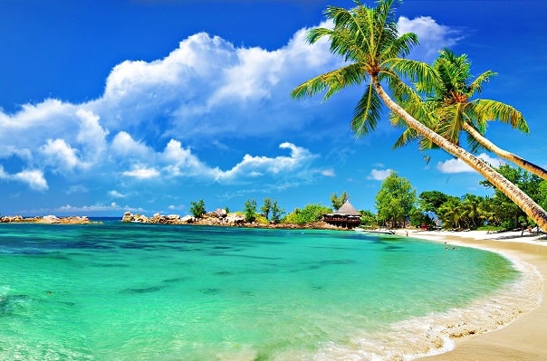 Delhi Agra Jaipur and Goa Tour
