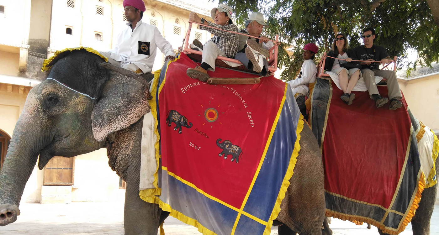 Elephant Ride, Amber Fort