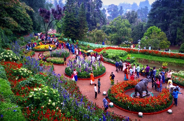 Bangalore Mysore Ooty Kerala Tour