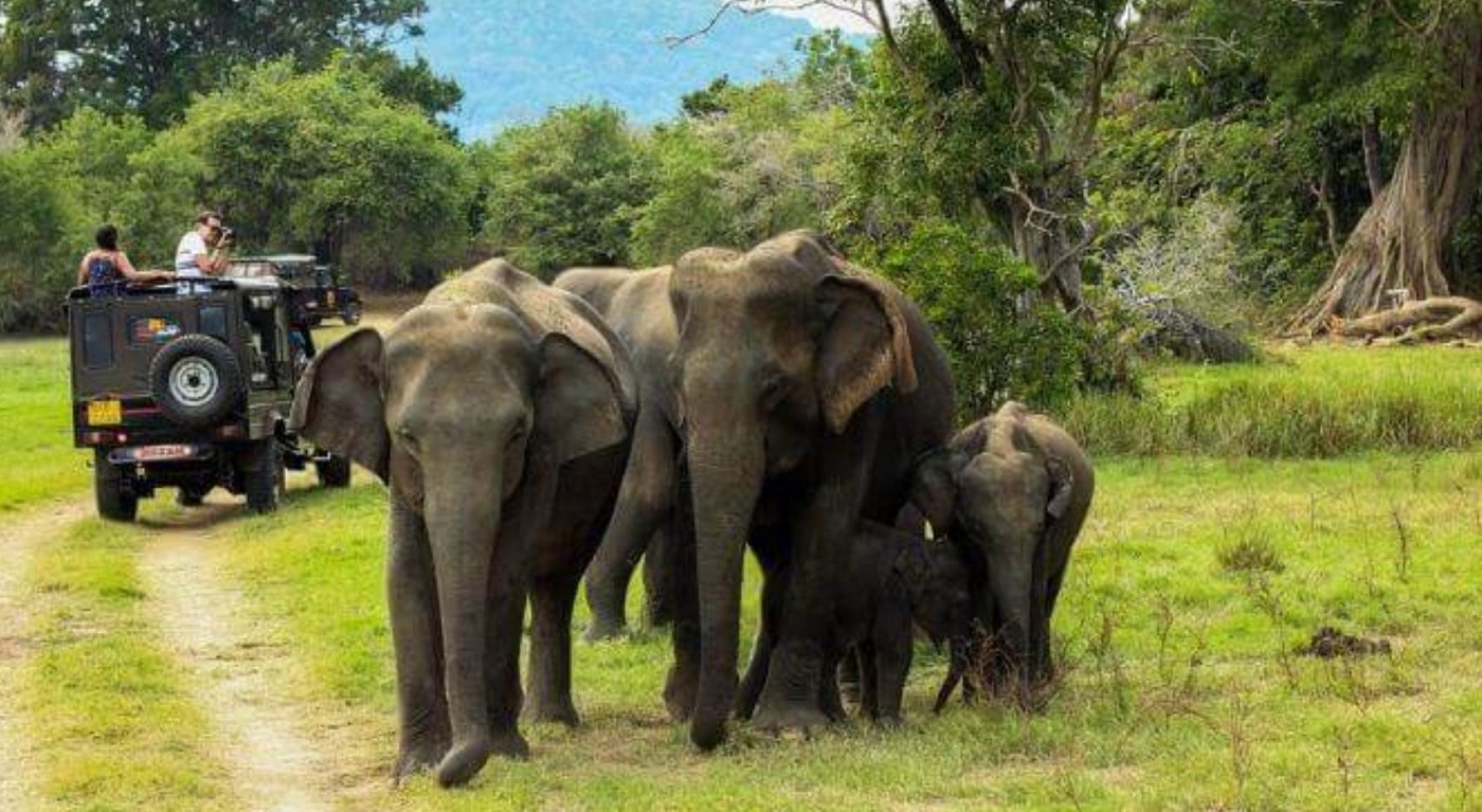 periyar-national-park periyar-national-park