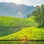 Munnar