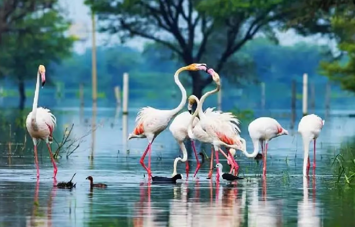 Bharatpur