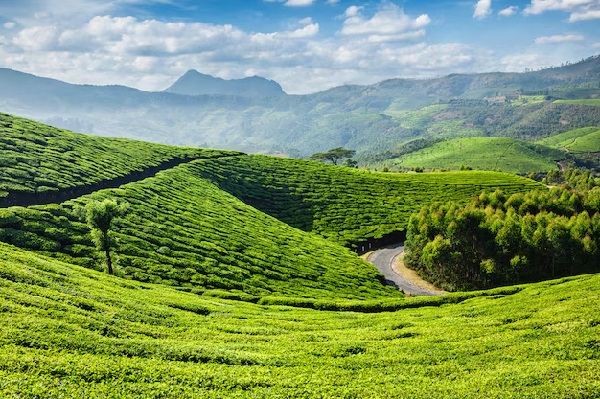 Golden Triangle with Kerala Tour