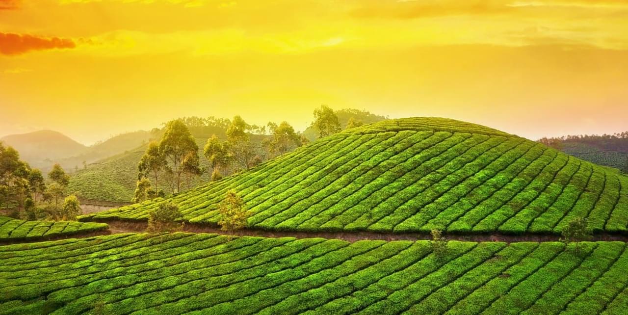 Munnar