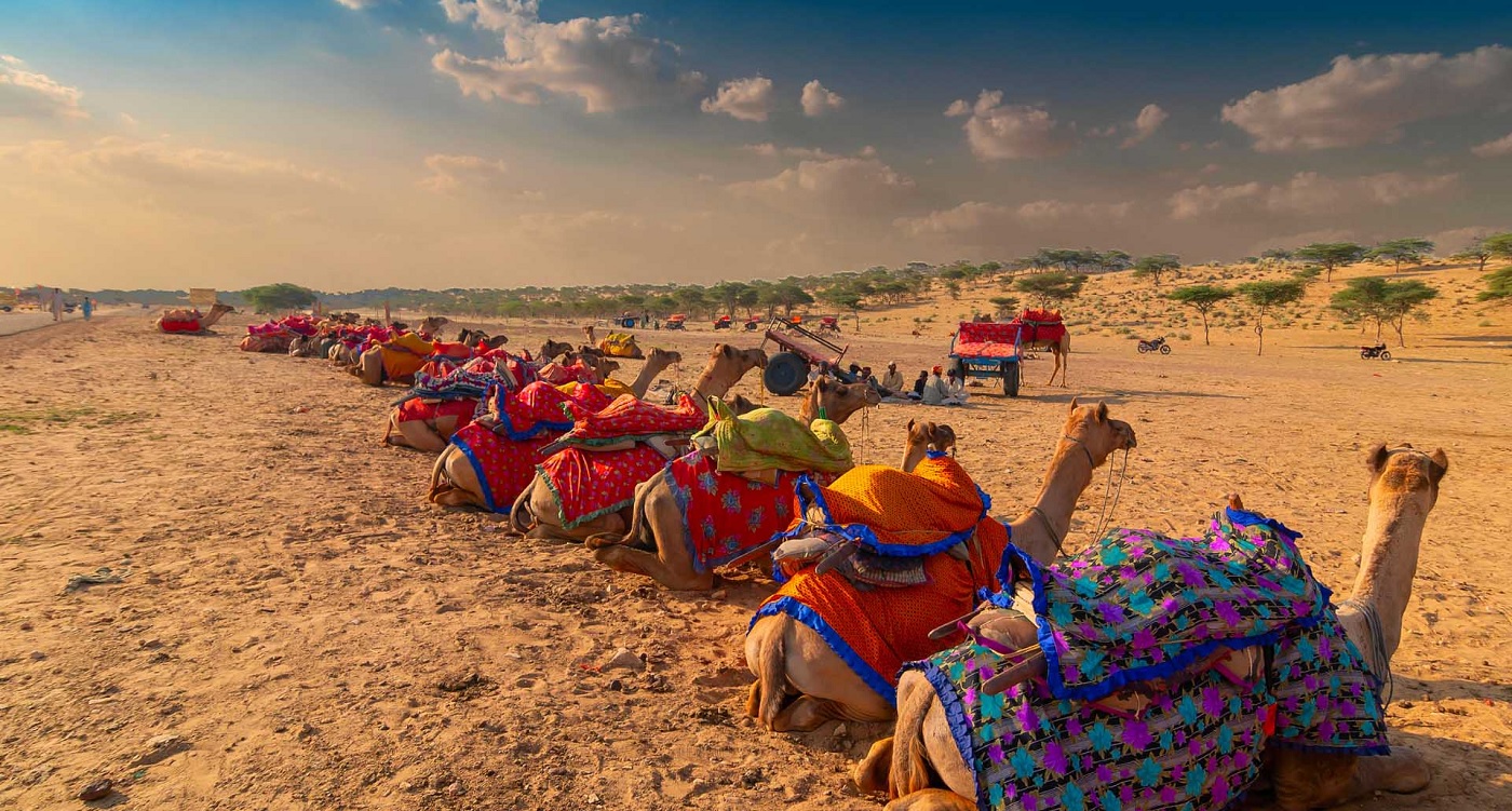 Rajasthan Tour Packages for Australians from Australia