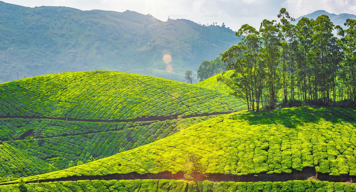 Munnar