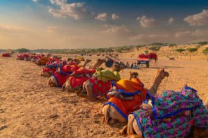 Rajasthan Holiday Packages