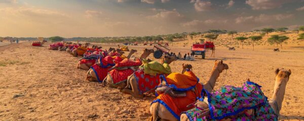 Rajasthan Holiday Packages