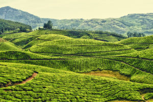 Munnar