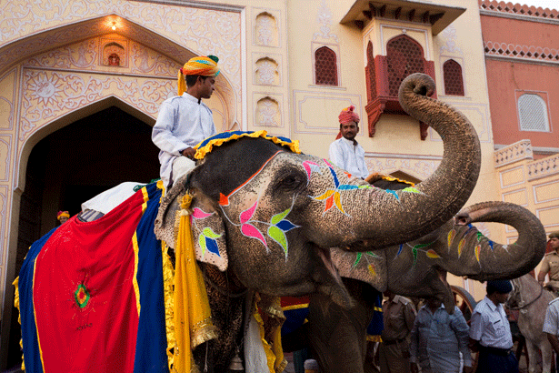 Elephant Ride
