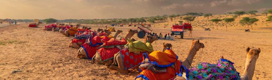 Rajasthan Tour Packages for Australians from Australia